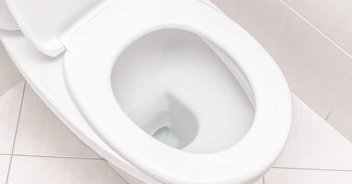 The Importance of GAP and USDA Toilet Standards