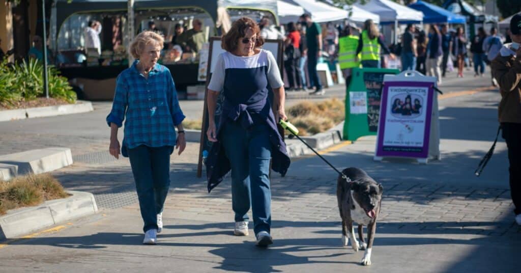 Two women walk their dog along a crowded Chicago street fair with white vendor tents and event guests in the background.