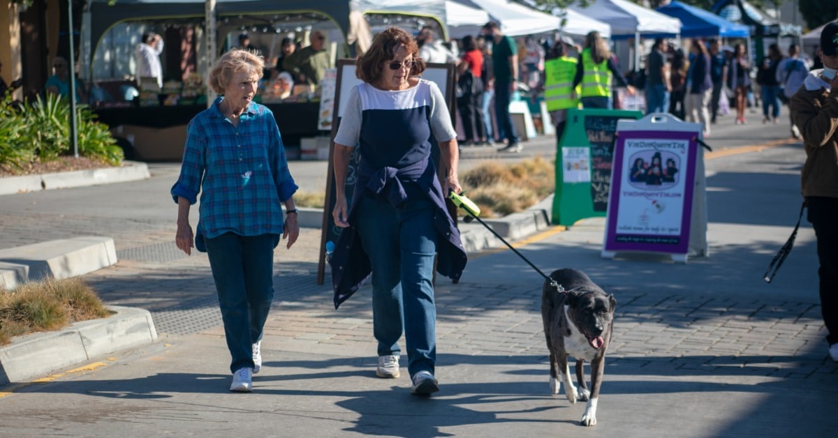 Two women walk their dog along a crowded Chicago street fair with white vendor tents and event guests in the background.